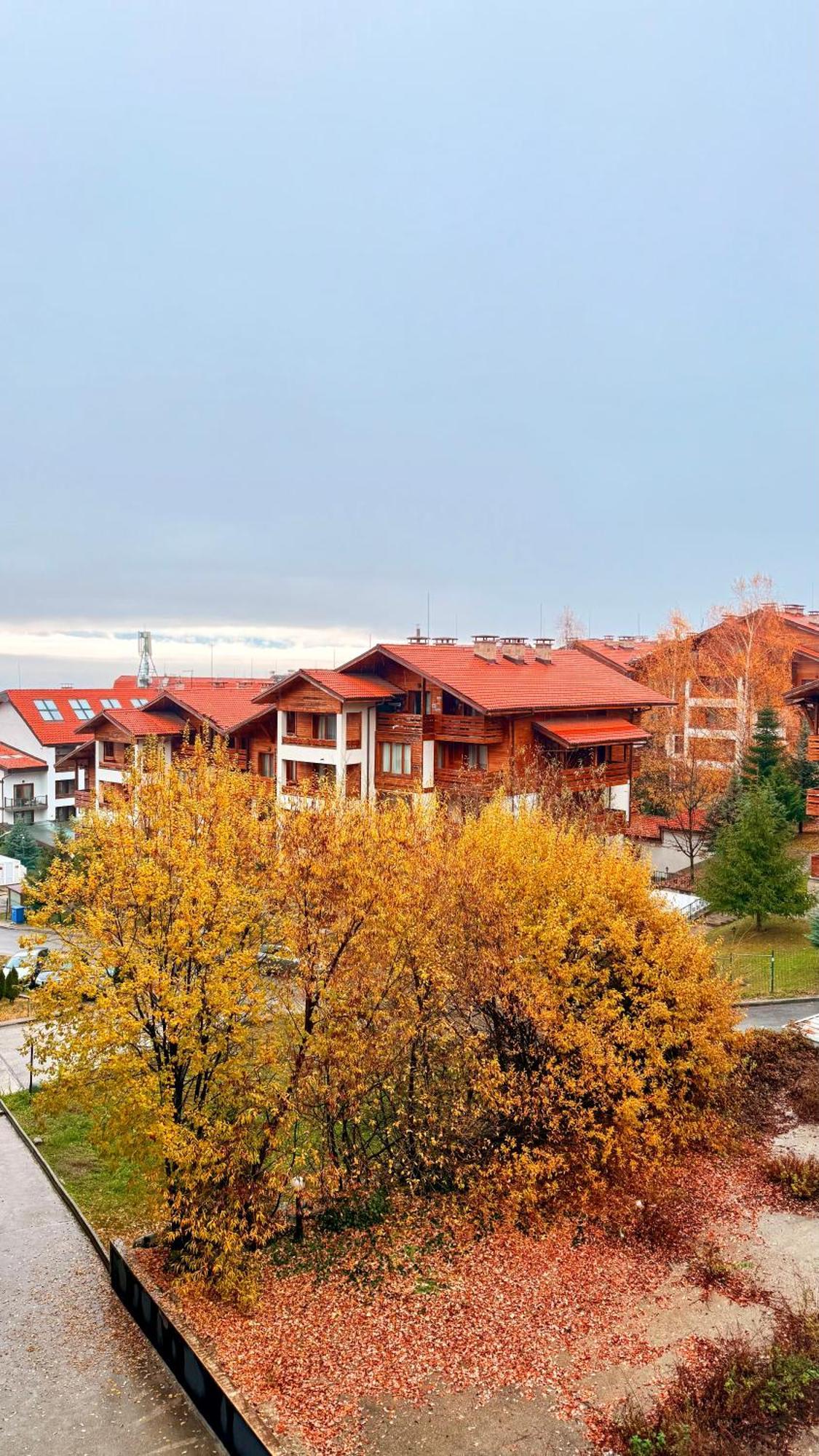 Apartment Encanto Cozy With Balcony And Stunning Mountain & Town View Bansko